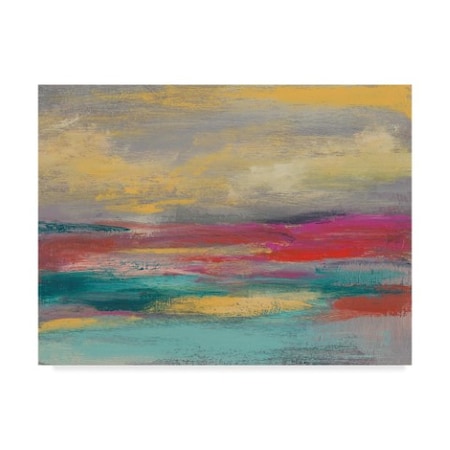 Jennifer Goldberger 'Sunset Study I' Canvas Art,35x47